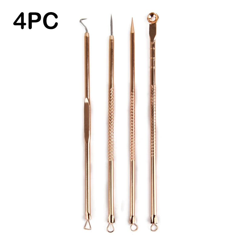 Paradise Divas 4pcs Acne Blackhead Removal Needles Set for Precision Skin Care 
